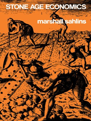 cover image of Stone Age Economics